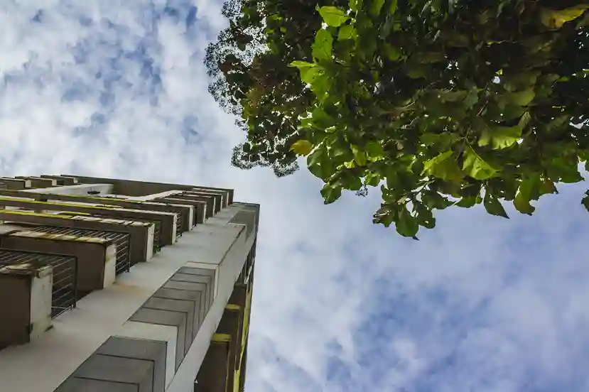 Diseño biofílico y bienestar: Construir para conectar con la naturaleza 