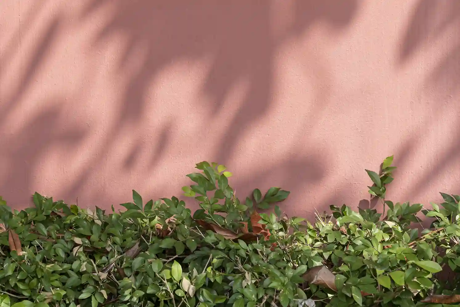 Estucos impermeables: la clave para proteger muros en áreas húmedas y a la intemperie 