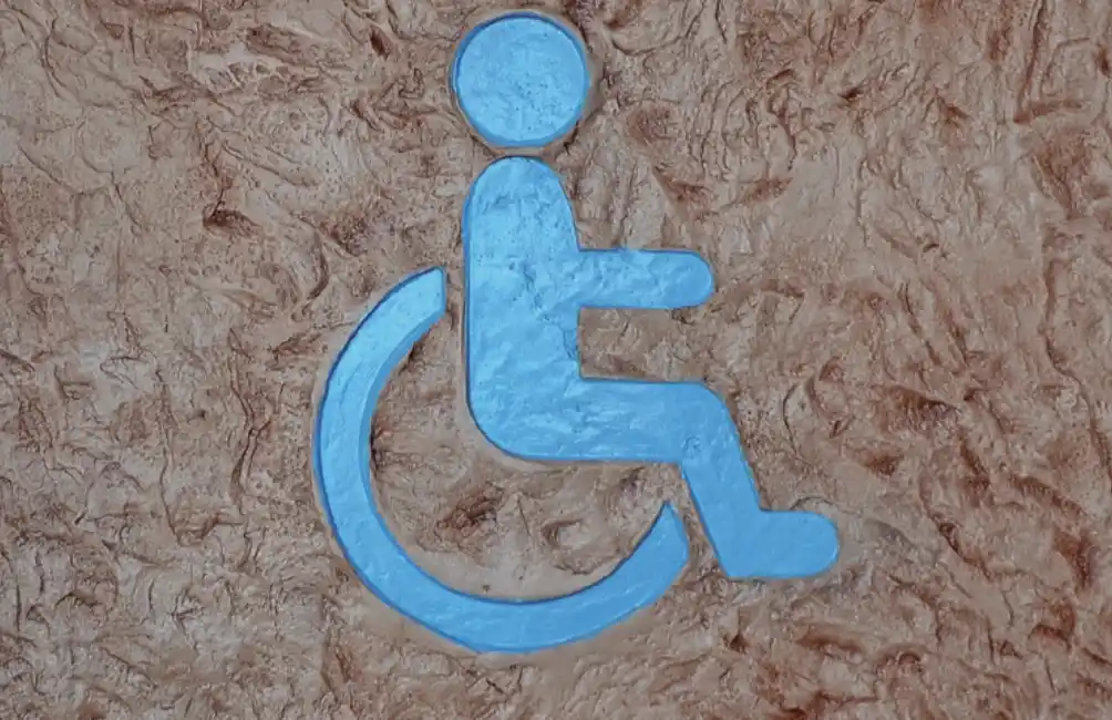 Día Internacional de las Personas con Discapacidad: Construyendo espacios realmente inclusivos desde el suelo 