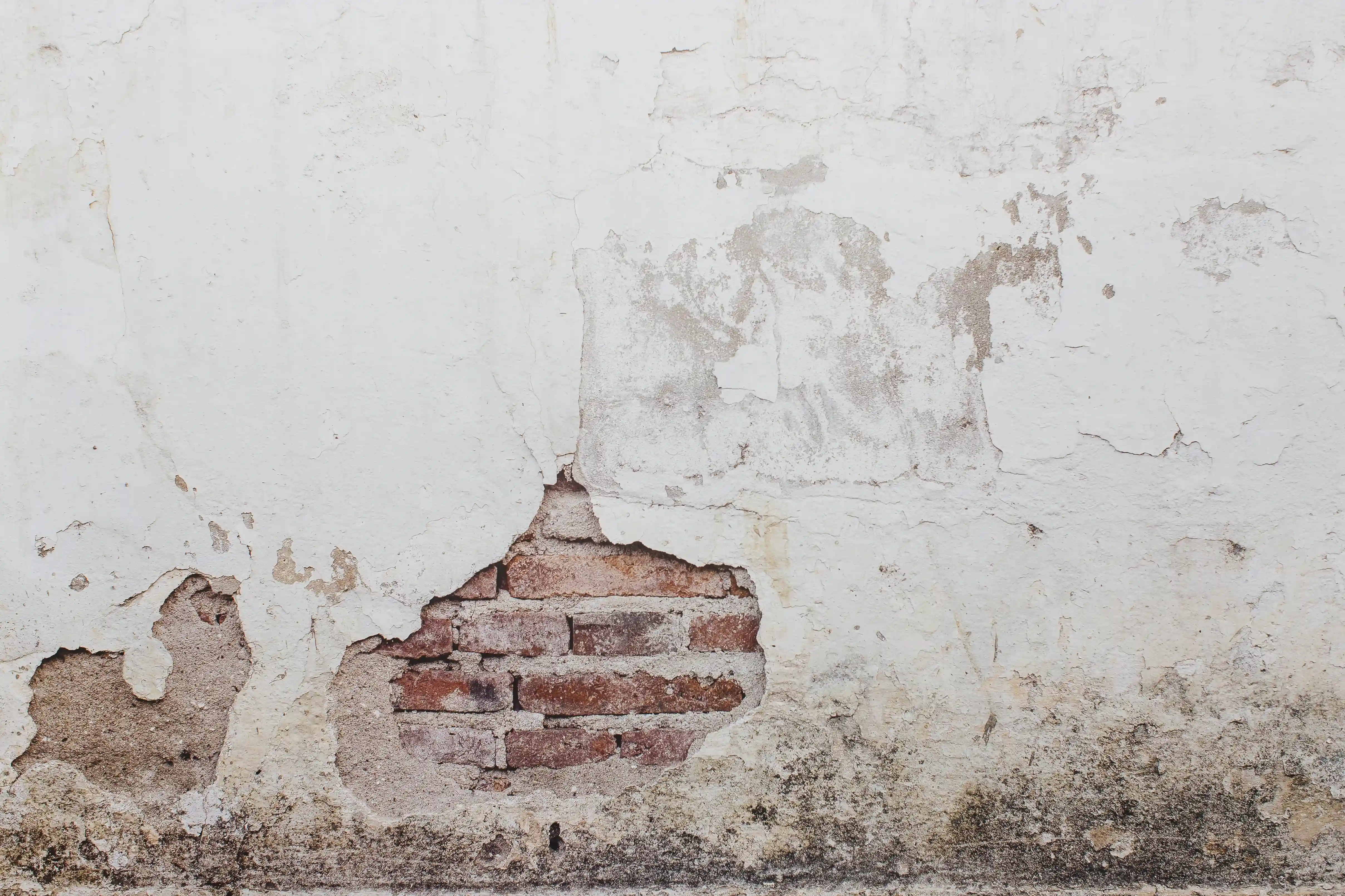 ¿Cómo reparar un muro con humedad o salitre de forma? 