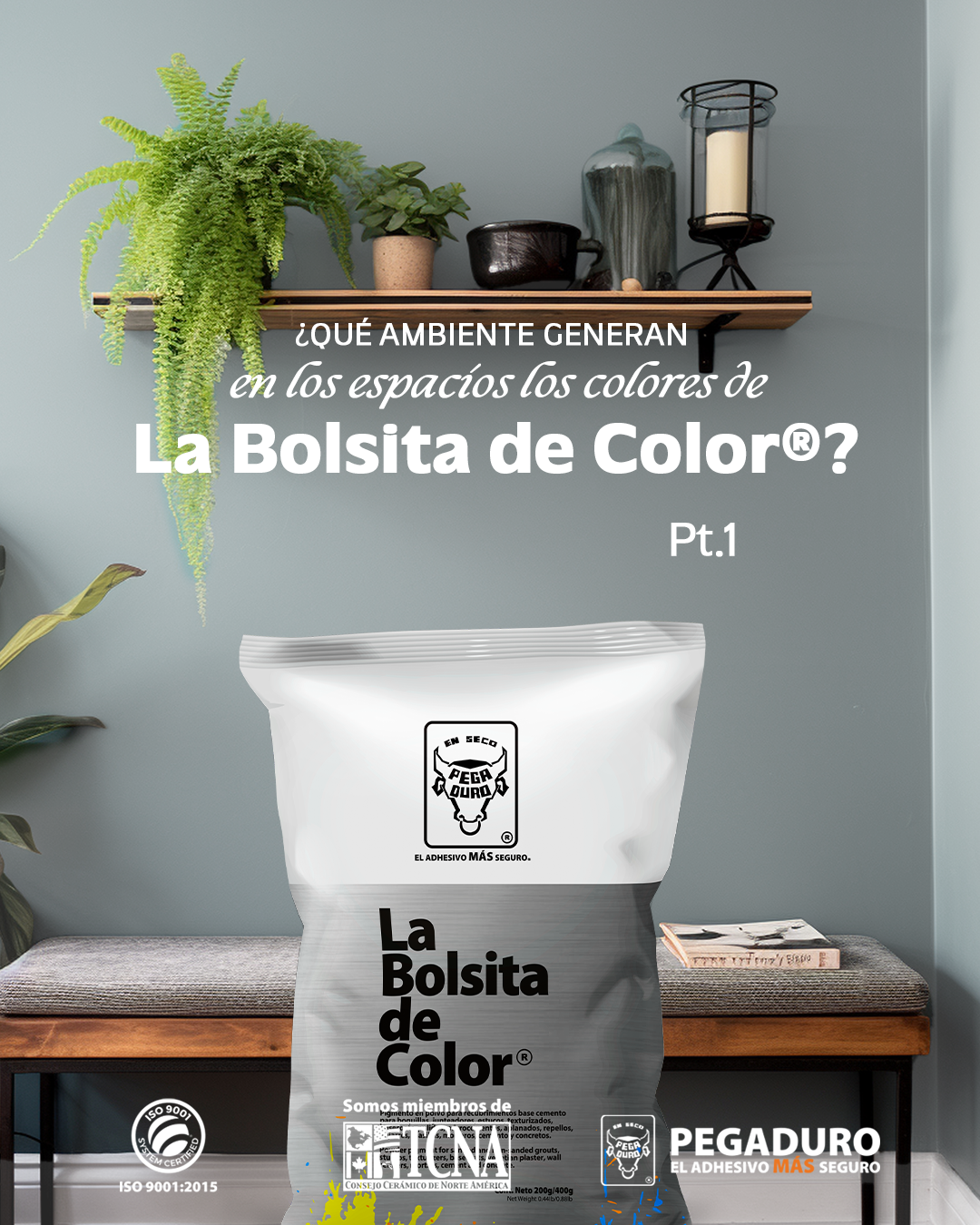 ¿Quieres muros modernos y elegantes? Elige bien y aprovecha al máximo La Bolsita de Color en estuco (base blanca)